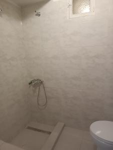 y baño con ducha y aseo. en Kipseli 1, en Kozani