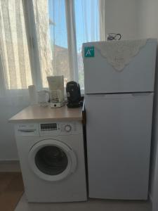 Cette chambre comprend un réfrigérateur blanc et un lave-linge. dans l'établissement Kipseli 1, à Kozani