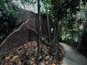 un chemin dans une forêt avec un grand rocher et des arbres dans l'établissement Khao Sok Paradise Resort, à Khao Sok