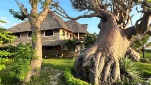 een huis met een boomwortelsysteem ervoor bij Room in Villa - 38m2 Turtle Suite in a 560 m2 Villa, Indian Ocean View in Shimoni