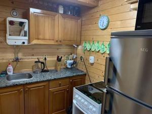 a kitchen with a sink and a stove and a refrigerator at Útulná chata na horách in Valašské Klobouky