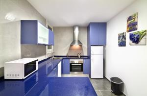 バルセロナにあるApartment Gaudi XLのキッチン(青いキャビネット、白い電化製品付)