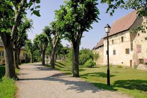 a street with trees and a street light next to a building at Gîte de la Muse in Rouffach