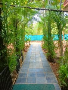 un chemin traversant un jardin avec des palmiers et une piscine dans l'établissement Smiley Resorts, à Auroville