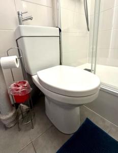 a bathroom with a white toilet and a shower at Petit studio plage Le galet bleu in Le Havre