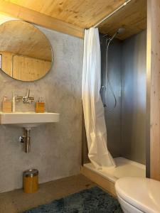ein Bad mit einer Dusche, einem Waschbecken und einem WC in der Unterkunft Bijoux in the Swiss mountains in Vna