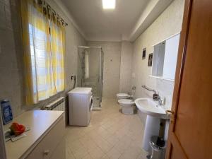 y baño con lavabo, aseo y ducha. en La Casa di Pedro en Santa Maria Capua Vetere