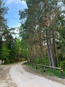 un camino de tierra a través de un bosque con árboles en Apartament Jeziorna en Ocypel