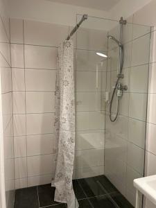 y baño con ducha y cortina de ducha. en Ferienwohnung Landhaus 44 Citynah, toskanischer Flair, en Hamburgo