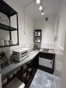 uma cozinha com um lavatório e um micro-ondas no balcão em Gästezimmer 11 Citynah, Küche & Bad extern em Hamburgo