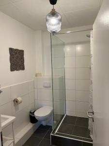 uma casa de banho com um WC e uma cabina de duche em vidro. em Ferienwohnung Südspitzen Stüberl 53 gehobene Ausstattung em Hamburgo