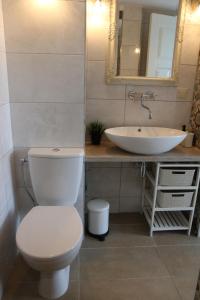 a bathroom with a toilet and a sink at Studio apartment in Jeruzalė in Vilnius