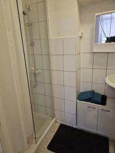a bathroom with a shower and a sink at Ap 3- 51qm bei Oschersleben und Helmstedt in Ausleben