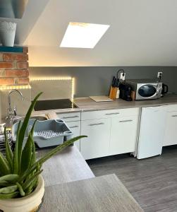 a kitchen with white cabinets and a table with a plant at Chill apartman in Budakalász
