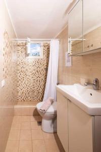 a bathroom with a toilet and a sink and a shower at Vaso apartment Limenaria Thasos in Limenaria