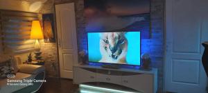 TV a/nebo společenská místnost v ubytování Péniche Morgane 2 SAS Les Bêtises