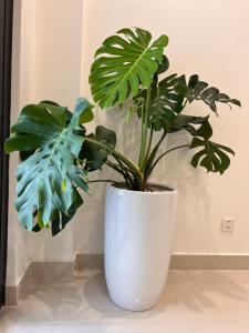 a plant in a white vase sitting on a table at Vinhome Grand Park Homestay-Sweet Home Origami in Long Bình +46 photos