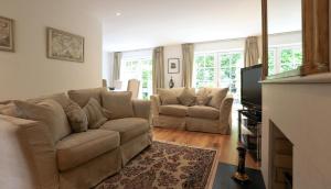 ein Wohnzimmer mit 2 Sofas und einem Kamin in der Unterkunft Period Character with Modern Comforts In Monkstown in Blackrock