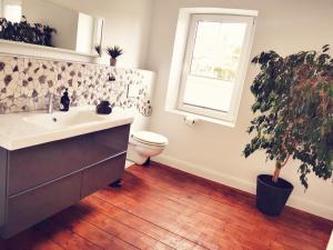 ein Badezimmer mit einem Waschbecken, einem WC und einer Topfpflanze in der Unterkunft Ferienhaus VioLin in Traben-Trarbach