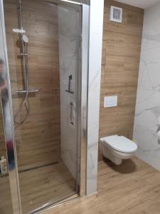 a bathroom with a shower and a toilet at Nový Útulný Apartmán Katka Rajecké Teplice in Rajecké Teplice