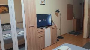 TV a/nebo společenská místnost v ubytování BELLISSIMO
