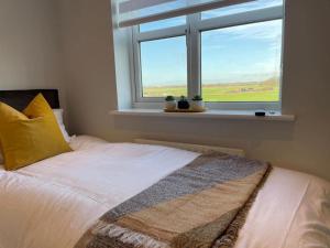 Un dormitorio con una cama y una ventana con cactus en Large Lytham Home - The Birds View by Holiday Heim en Lytham St Annes