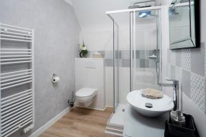 La salle de bains est pourvue de toilettes, d'un lavabo et d'une douche. dans l'établissement La Bayardine, à Sarlat-la-Canéda