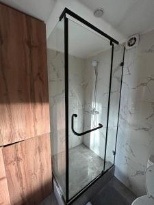 W łazience znajduje się prysznic ze szklanymi drzwiami. w obiekcie люкс квартира в центре города - все удобства - ждем Вас! w mieście Karaganda