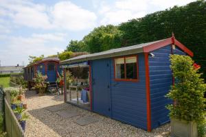 a blue and red shed in a garden at Colly Farm in Bridport