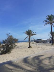 uma praia com palmeiras num dia ensolarado em PAAL PLAYA Solo Familias em Playa de Gandia