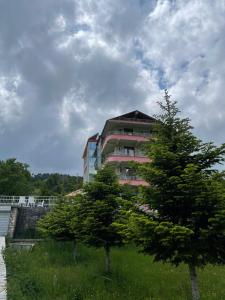 ein großes Gebäude mit einem Baum davor in der Unterkunft LURA Hotel in Peshkopi