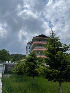 a large building with a tree in front of it at LURA Hotel in Peshkopi