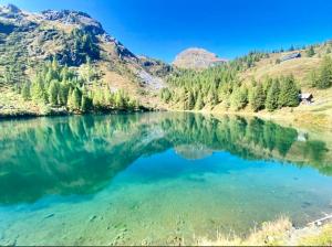 ein Spiegelbild eines Berges in einem See in der Unterkunft Almhütte am Wirpitschsee in Weisspriach