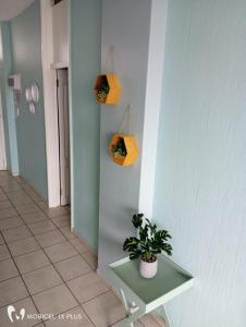 un couloir avec une table et une plante en pot dans l'établissement Sea Breeze, à Margate