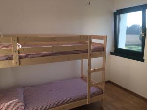 two bunk beds in a room with a window at Monticello Lovely Apartment with Garden in Pavia dʼUdine
