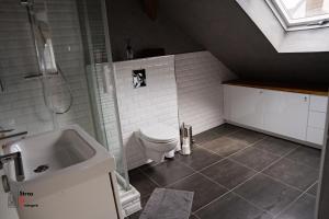 een badkamer met toilet en wastafel bij Belles combles alsaciennes au centre de Strasbourg in Straatsburg +13 foto's