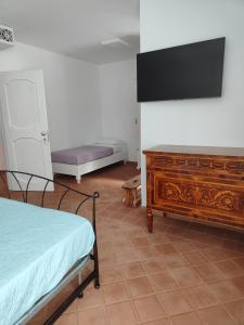 1 dormitorio con 1 cama y vestidor con TV de pantalla plana en Agriturismo Scialà, en Serramezzana