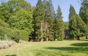 pole trawy z drzewami i krzakami w obiekcie 4 Bedroom Stunning Home In Louvie-juzon w mieście Louvie Juzon