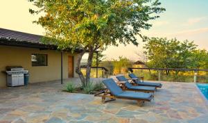 a patio with blue lounge chairs and a tree at Mapesu Wilderness Tented Camp in Musina