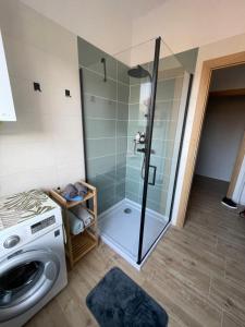 La salle de bains est pourvue d'une douche et d'un lave-linge. dans l'établissement Liliom Apartman Békéscsaba, à Békéscsaba