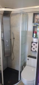 a bathroom with a shower and a toilet at cabane ti tang in Saint-Leu