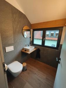 een badkamer met een toilet, een wastafel en een raam bij Spessart Chalet in Dammbach