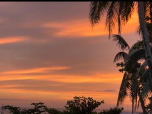 una puesta de sol con palmeras en primer plano en Joymendz en San Jose de Buenavista