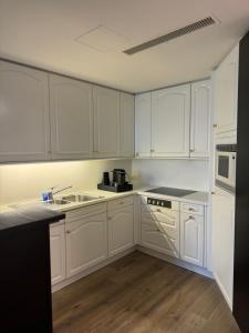 Kuchyň nebo kuchyňský kout v ubytování Hotel Monopol Luzern