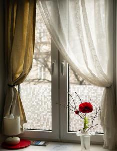 une fleur rouge dans un vase dans une fenêtre dans l'établissement Apartament przy synagodze, à Przemyśl
