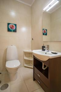 ein Badezimmer mit Toilette, Waschbecken und Spiegel in der Unterkunft Gaia Panoramic Terrace Apartment - D. Pedro V in Vila Nova de Gaia + 36 Fotos