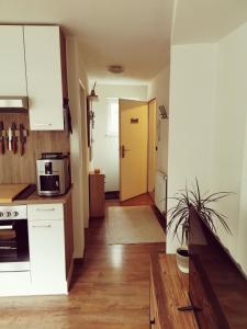 a kitchen with white cabinets and a door to a hallway at Cooldog Mini in Imst