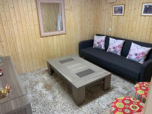 ein Wohnzimmer mit einem Sofa und einem Couchtisch in der Unterkunft Apartment near Geneva Airport and Palexpo in Genf