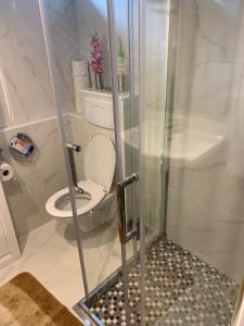 a small bathroom with a toilet and a shower at Apartment near Geneva Airport and Palexpo in Geneva