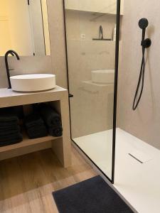 a bathroom with a shower with a sink and a mirror at Luxe appartement `t Sant Nieuwpoort Bad in Nieuwpoort